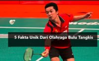 Fakta Olahraga Bulu Tangkis