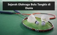 Bulu Tangkis