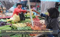 Bisnis Sayuran Sangat Menjanjikan Dimasa Pandemi