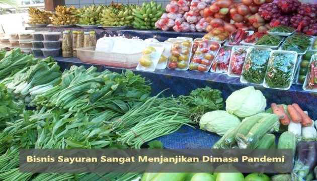 Bisnis Sayuran Sangat Menjanjikan Dimasa Pandemi