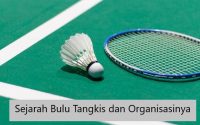 bulu tangkis