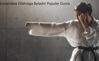 olahraga beladiri