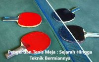 tenis meja