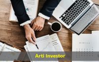 Arti Investor