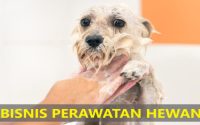 BISNIS PERAWATAN HEWAN