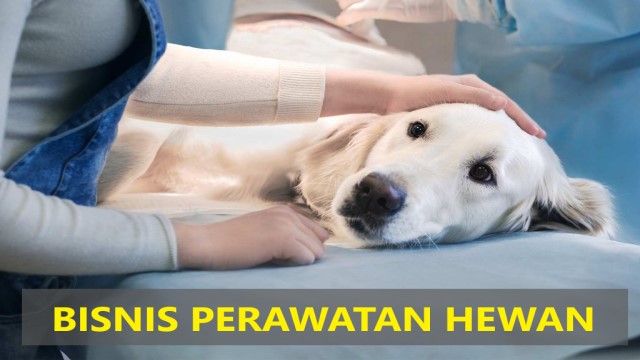 BISNIS PERAWATAN HEWAN