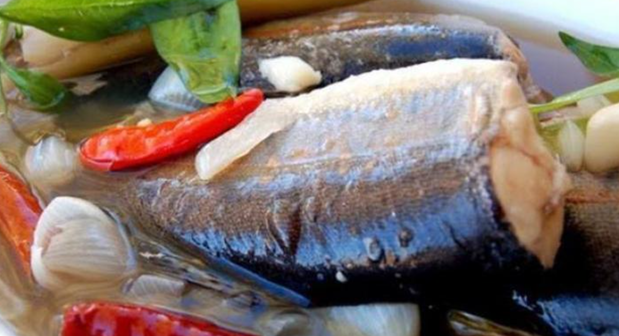 Ikan Gabus