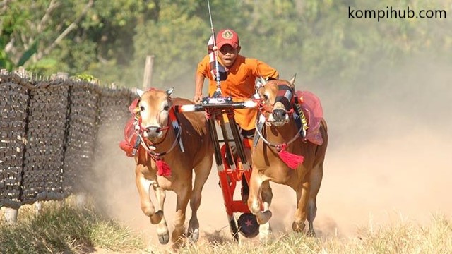 olahraga khas Indonesia