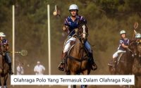 olahraga polo