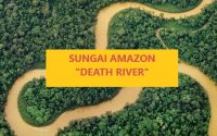 Tampilan Sungai Amazon