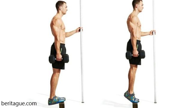 manfaat calf raises