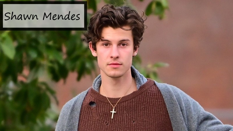 Shawn Mendes