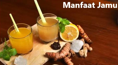 Manfaat Jamu